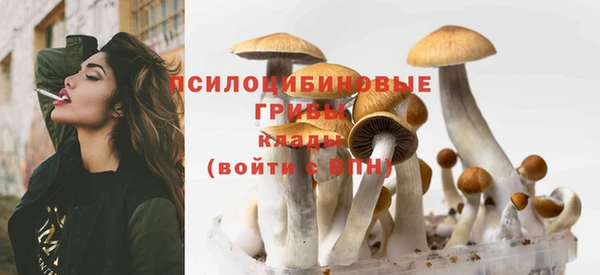 марки lsd Алзамай